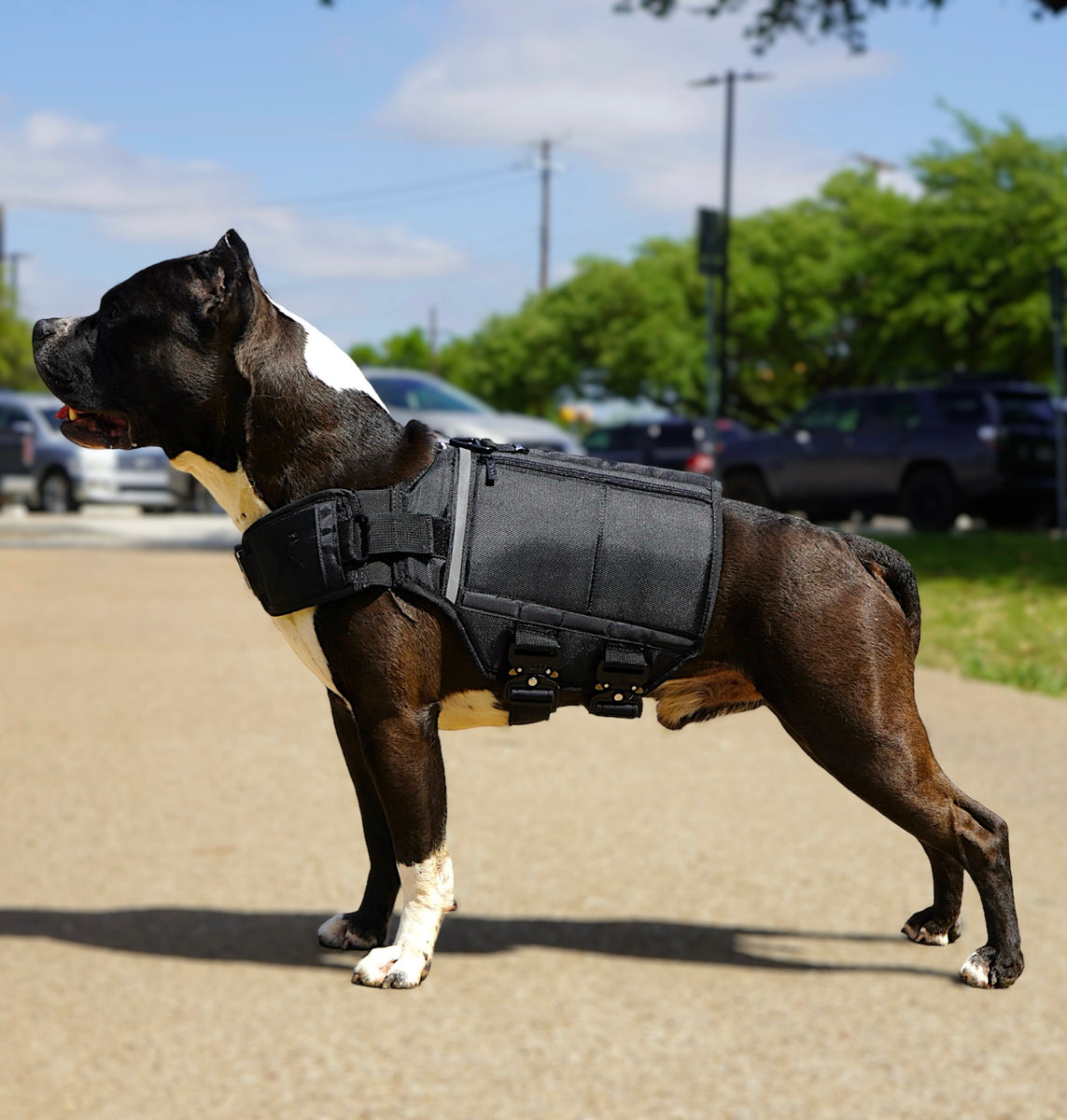 American bully weight vest best sale