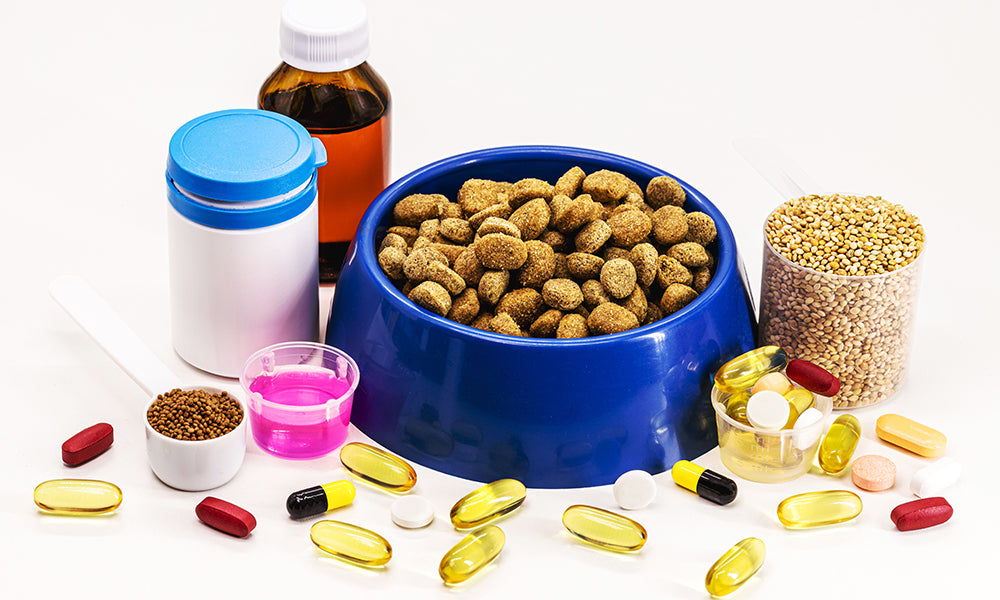 Do Puppies Need Supplements Aside From What They Get From Food? What You Need to Know