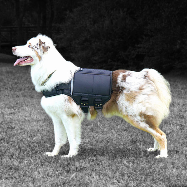 XDOG Weight & Fitness Vest V4 Max - Health Enhancement Dog Harness