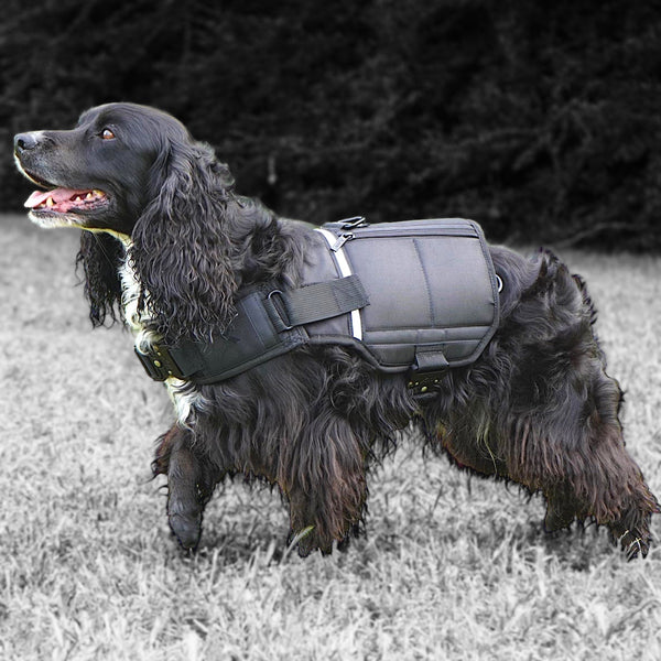 XDOG Weight & Fitness Vest V4 Max - Health Enhancement Dog Harness