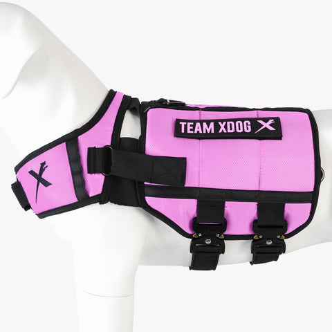Xdog Weight & Fitness Vest™️ 3.5 Health Enhancement Dog Harness (Teal & Purple) Refurbished 30% off “Like New”