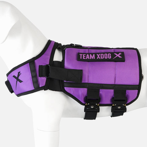 Xdog Weight & Fitness Vest™️ 3.5 Health Enhancement Dog Harness (Teal & Purple) Refurbished 30% off “Like New”