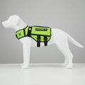XDOG WEIGHT & FITNESS VEST™️ 3.0 HEALTH ENHANCEMENT DOG HARNESS (30% OFF Closeout) - NEW!
