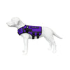 XDOG WEIGHT & FITNESS VEST™️ 3.5 HEALTH ENHANCEMENT DOG HARNESS (Teal & Purple)
